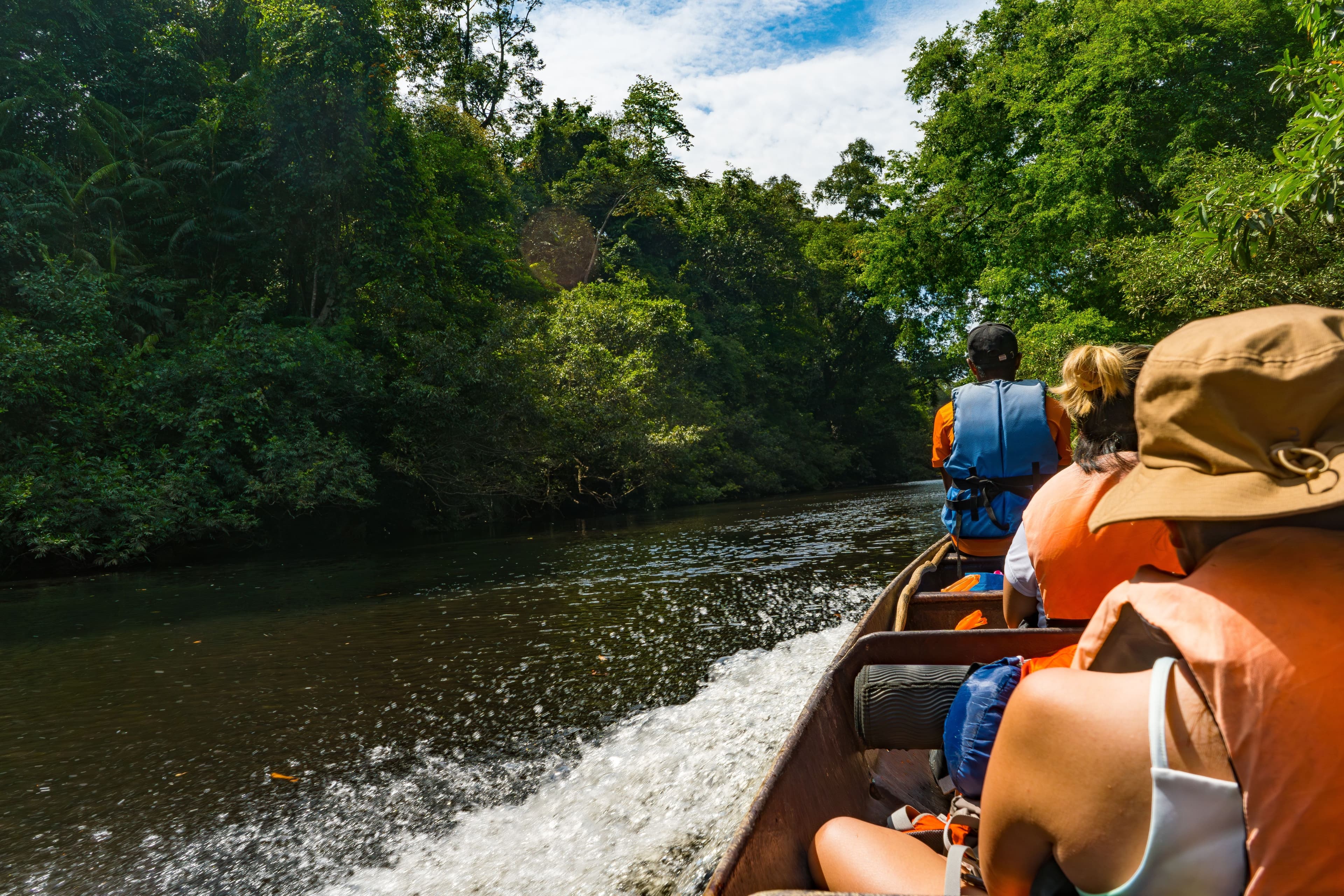 Kuala Selangor Nature: Discover Malaysia’s Hidden Natural Wonders