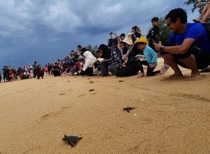 3D2N School Holiday | Kuantan + Baby Turtle Releasing Tour