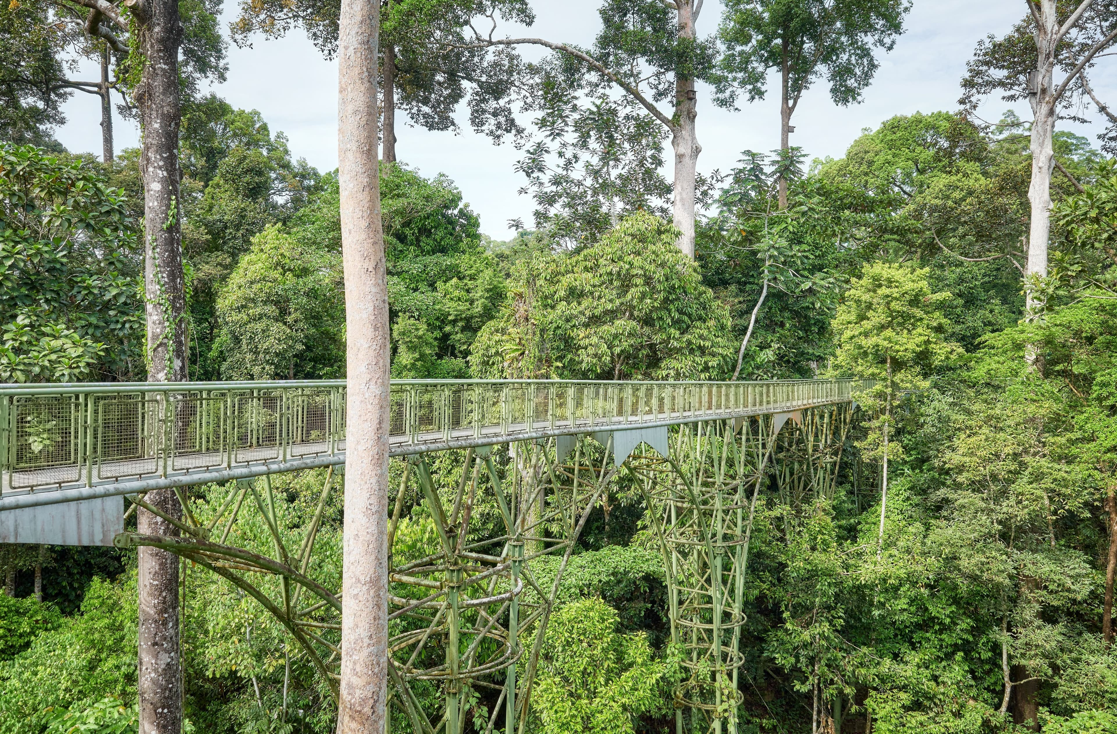 Visit Malaysia 2026 Is Here: 10 Surreal Experiences to Start Your Journey