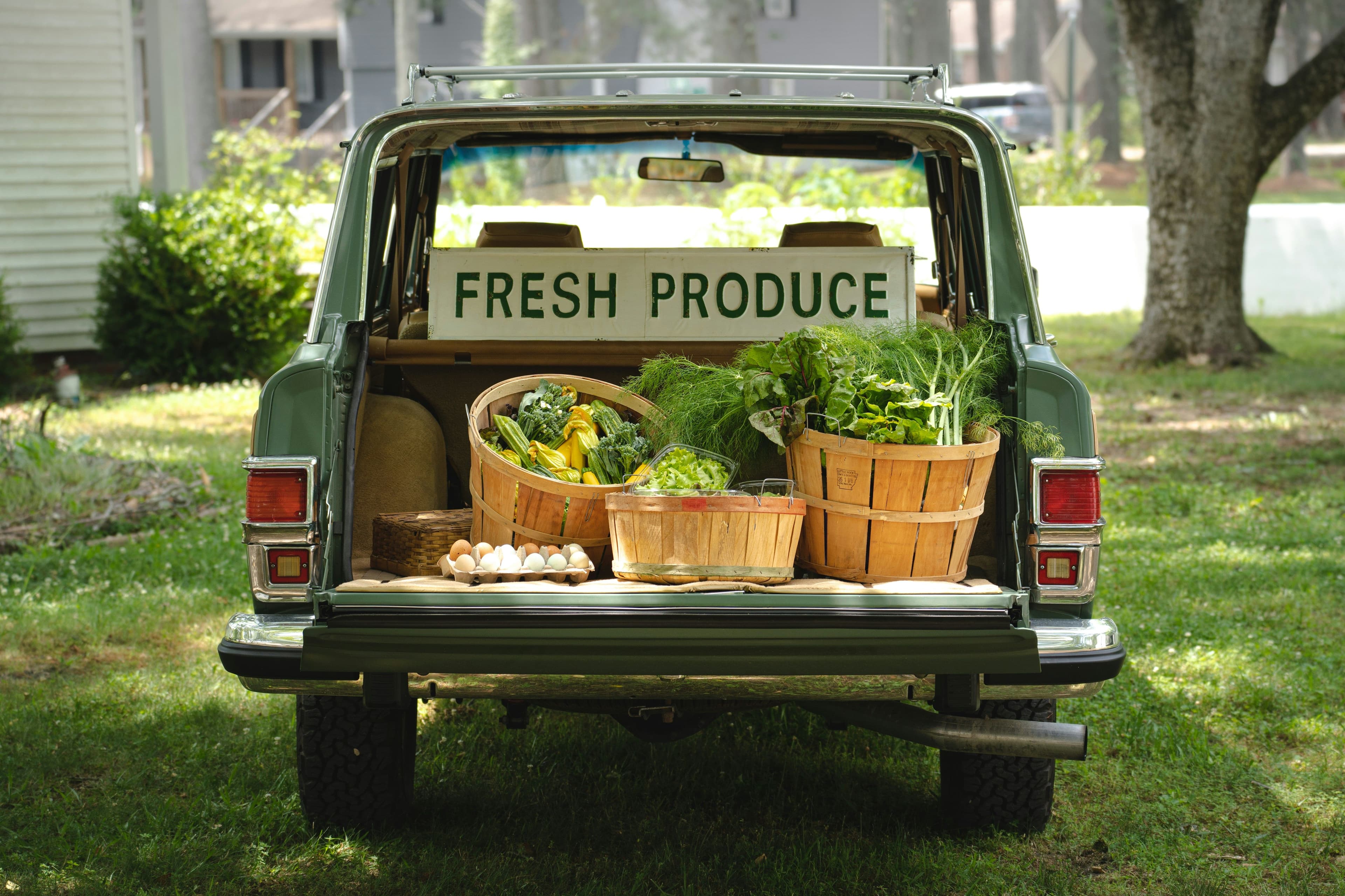 Farm-to-Table Travel in Malaysia: Fresh, Local & Sustainable