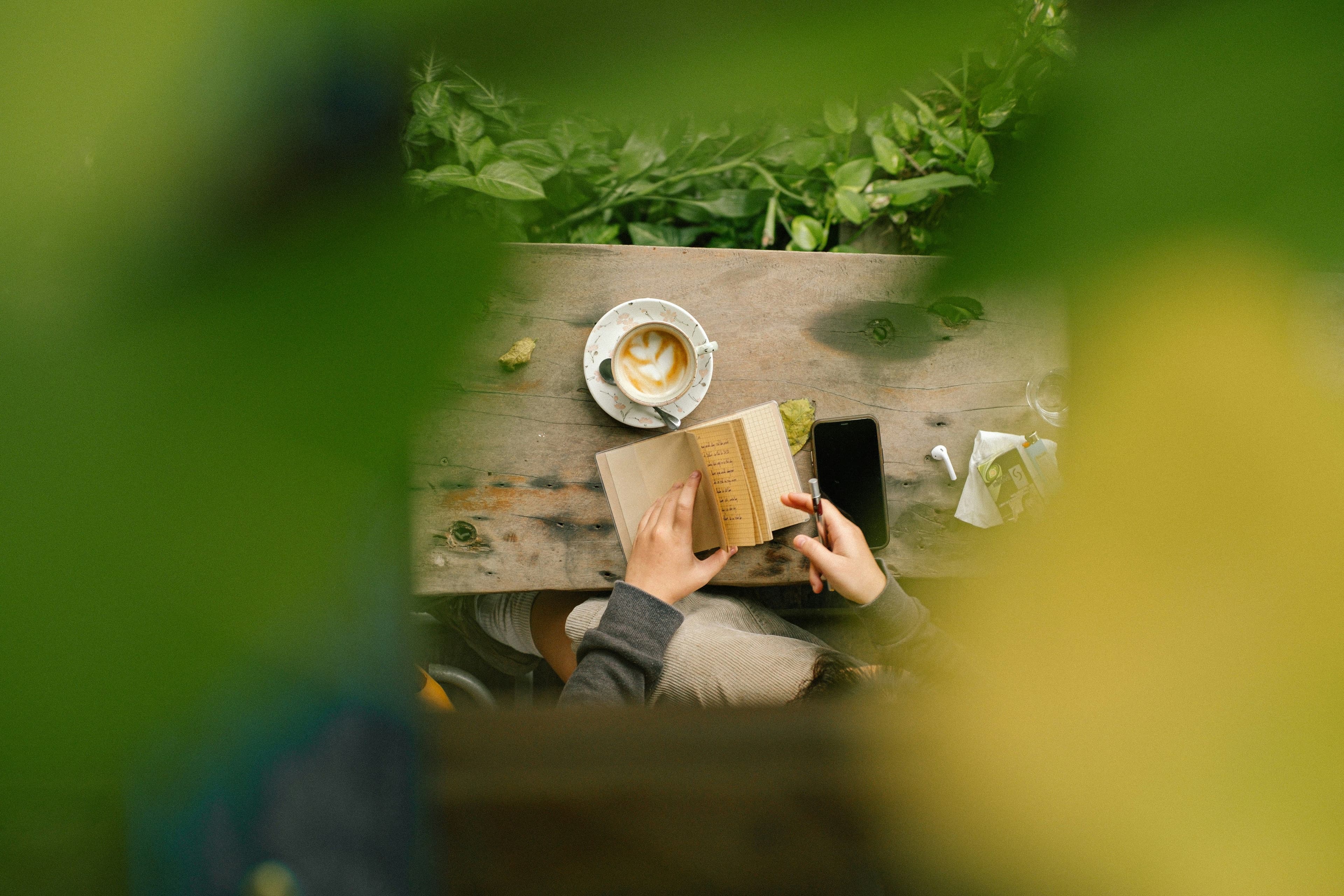 Digital Detox Travel: Where to Disconnect in Malaysia’s Wild Spaces